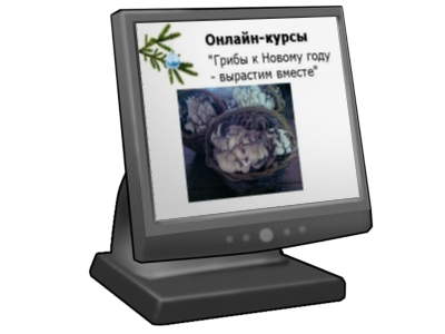Как проводятся котировки